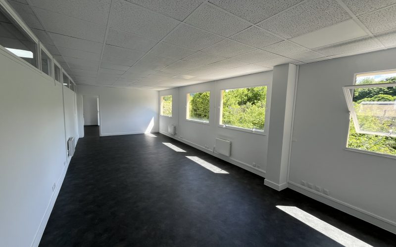 Entrepôt & bureaux 
            248 m², EAUBONNE – 9 rue Louis Armand