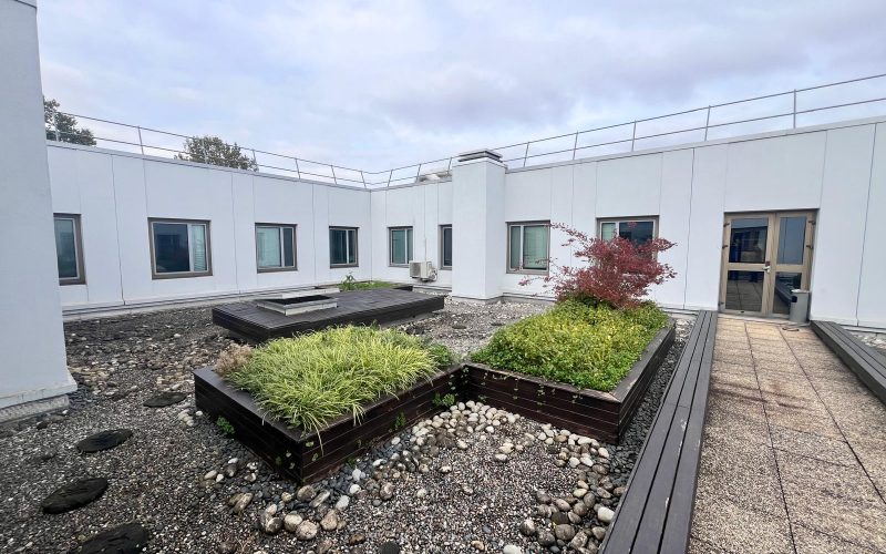 Entrepôt & bureaux 
            1 819 m², NANTERRE – 6 rue des Peupliers