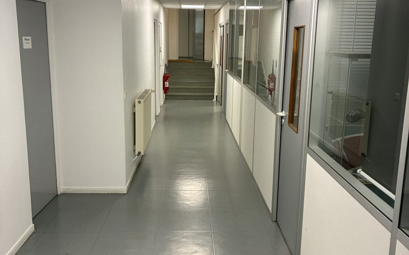 Entrepôt & bureaux 
            1 470 m² dont 1 170 m² et 300 m² de bureaux, BUC – 438 rue Audemars